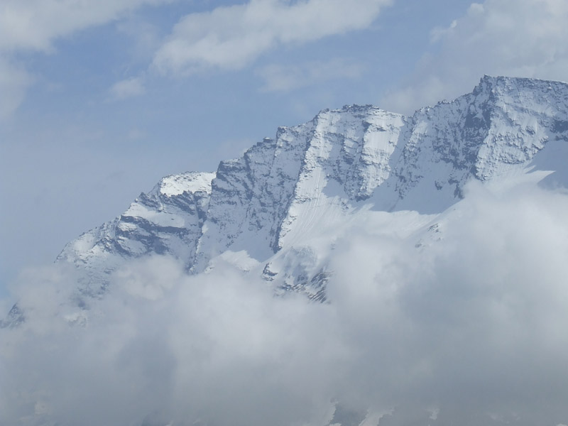 un metro quadrato di  paradiso - parco del gran paradiso